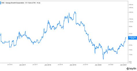 キャノピー グロースの株価予想はどうなるのか！投資家の夢を叶える未来の可能性